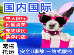 重庆机场托运国际宠物托运 【国